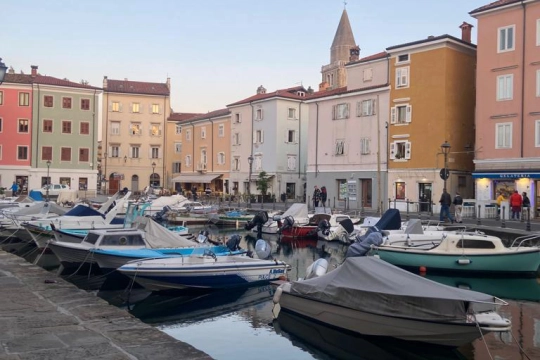 Muggia