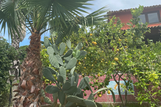 Kalabriens vielfältige Pflanzenwelt