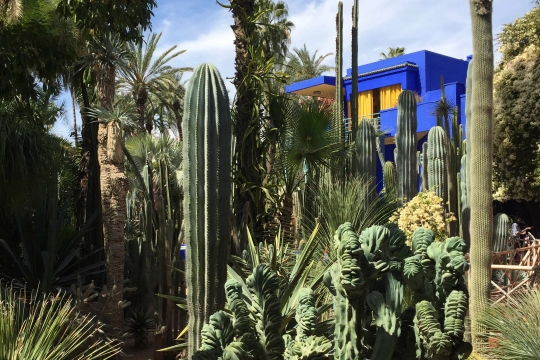 Jardin Majorelle