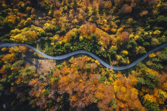 Reisen im Herbst